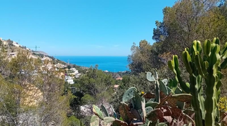 Alicante - Altea - 1081m2