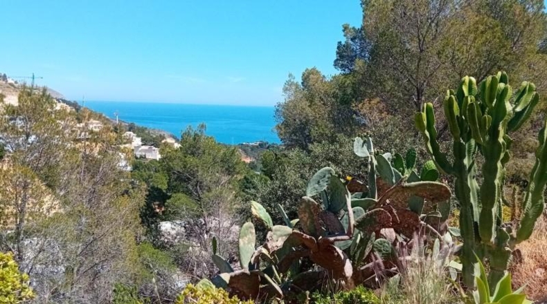 Alicante - Altea - 1081m2