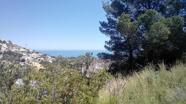 Alicante - Altea - 1081m2