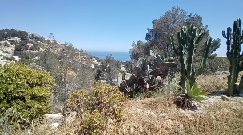 Alicante - Altea - 1081m2