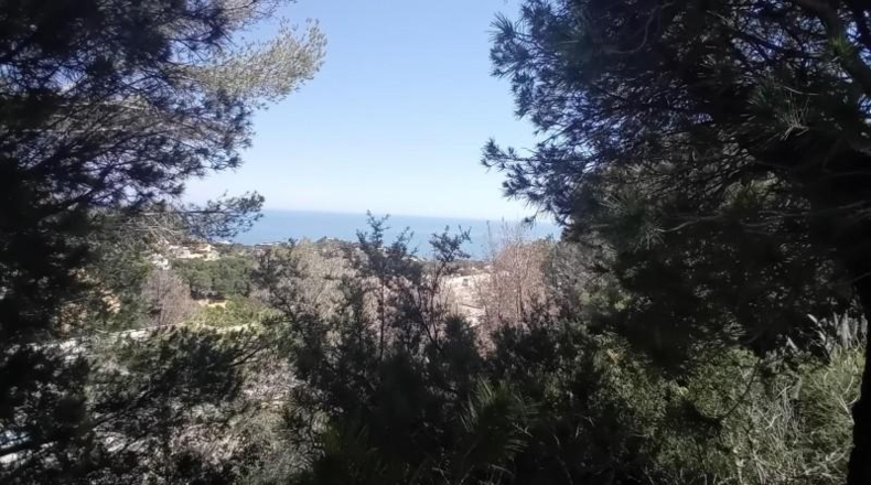 Alicante - Altea - 1081m2