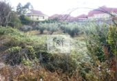 Land suitable for development for sale on España, Jaraíz de la Vera, ref: TR223258 photo