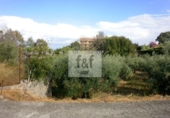 Land suitable for development for sale on España, Jaraíz de la Vera, ref: TR223258 photo