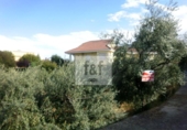 Land suitable for development for sale on España, Jaraíz de la Vera, ref: TR223258 photo