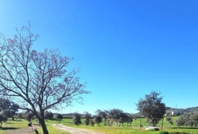 Villaviciosa de Córdoba 36494&nbsp;m² 
