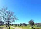 Xalet independent amb terreny en venda a la España, Villaviciosa de Córdoba, ref.: TR244111 foto