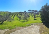 Xalet independent amb terreny en venda a la España, Villaviciosa de Córdoba, ref.: TR244111 foto
