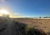 Non-developable land for sale on España, La Oliva, ref: TR381285 photo