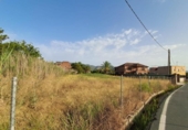 Parcel·la urbanitzable en venda a la España, Múrcia, ref.: TR321079 foto