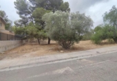 Terreny no urbanitzable en venda a la España, Molina de Segura, ref.: TR309763 foto
