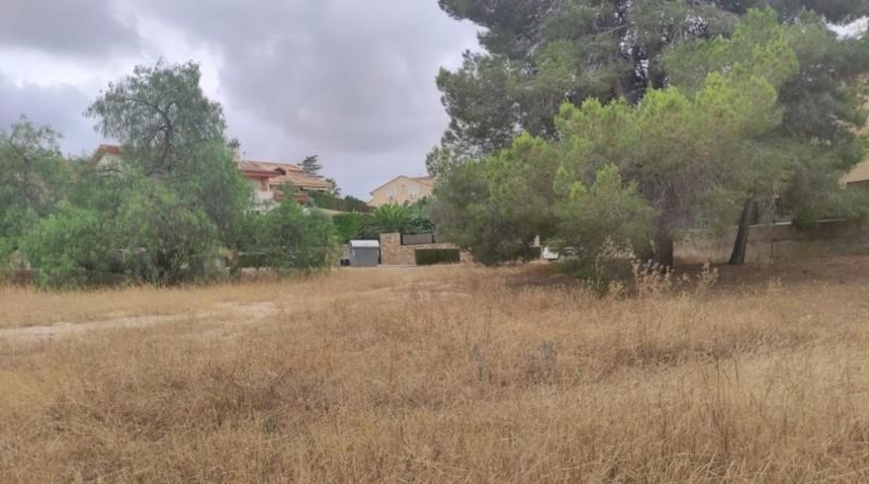 Múrcia - Molina de Segura - 1368m2