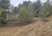 Terreny no urbanitzable en venda a la España, Molina de Segura, ref.: TR309763 foto