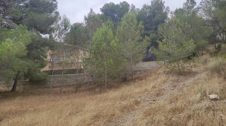 Múrcia - Molina de Segura - 1368m2