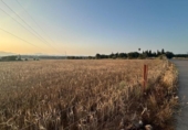 Non-developable land for sale on España, Ariany, ref: TR312253 photo