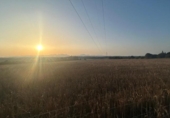 Non-developable land for sale on España, Ariany, ref: TR312253 photo