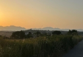 Non-developable land for sale on España, Ariany, ref: TR312253 photo