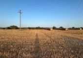 Non-developable land for sale on España, Ariany, ref: TR312253 photo