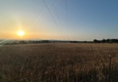Non-developable land for sale on España, Ariany, ref: TR312253 photo