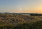 Non-developable land for sale on España, Ariany, ref: TR312253 photo