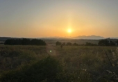 Non-developable land for sale on España, Ariany, ref: TR312253 photo