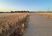 Non-developable land for sale on España, Ariany, ref: TR312253 photo