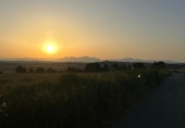 Non-developable land for sale on España, Ariany, ref: TR312253 photo