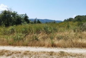 Celanova 8796&nbsp;m² 