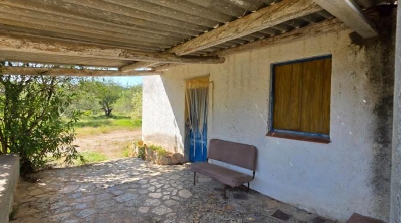 Tarragona - Tivissa - 144380m2