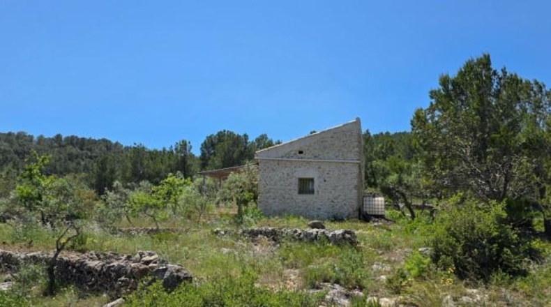 Tarragona - Tivissa - 144380m2