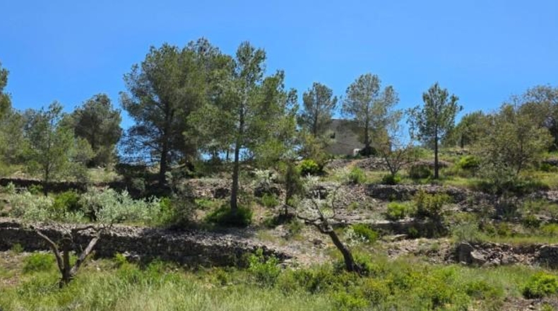 Tarragona - Tivissa - 144380m2