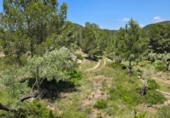 Xalet independent amb terreny en venda a la España, Tivissa, ref.: TR338483 foto