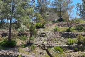Foto 15