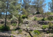 Xalet independent amb terreny en venda a la España, Tivissa, ref.: TR338483 foto