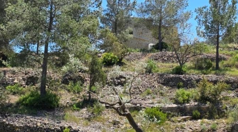 Tarragona - Tivissa - 144380m2