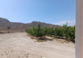 Terreny amb magatzem en venda a la España, Mazarrón, ref.: TR271144 foto