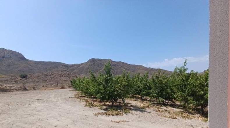 Murcia - Mazarrón - 47000m2
