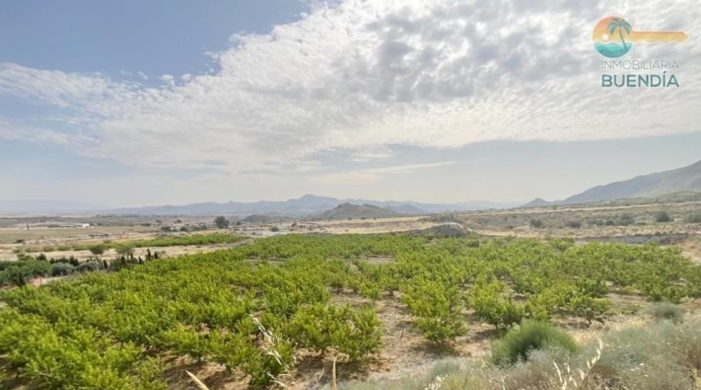Murcia - Mazarrón - 44000m2
