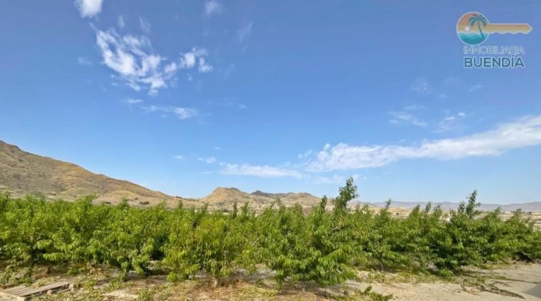 Murcia - Mazarrón - 44000m2