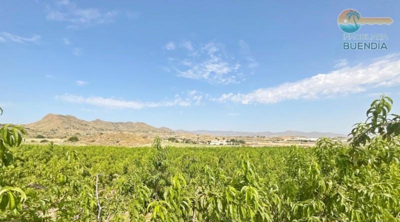 Murcia - Mazarrón - 44000m2