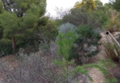 Terreny no urbanitzable en venda a la España, la Vila Joiosa, ref.: TR375010 foto