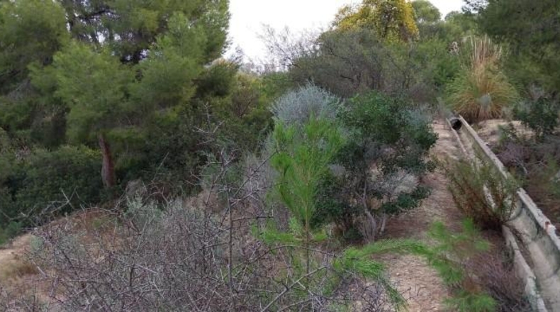 Alicante - Villajoyosa - 15500m2