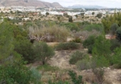 Terreny no urbanitzable en venda a la España, la Vila Joiosa, ref.: TR375010 foto