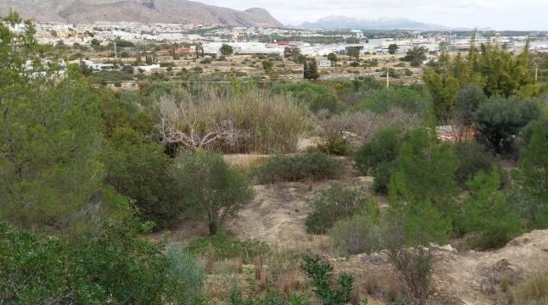 Alicante - Villajoyosa - 15500m2