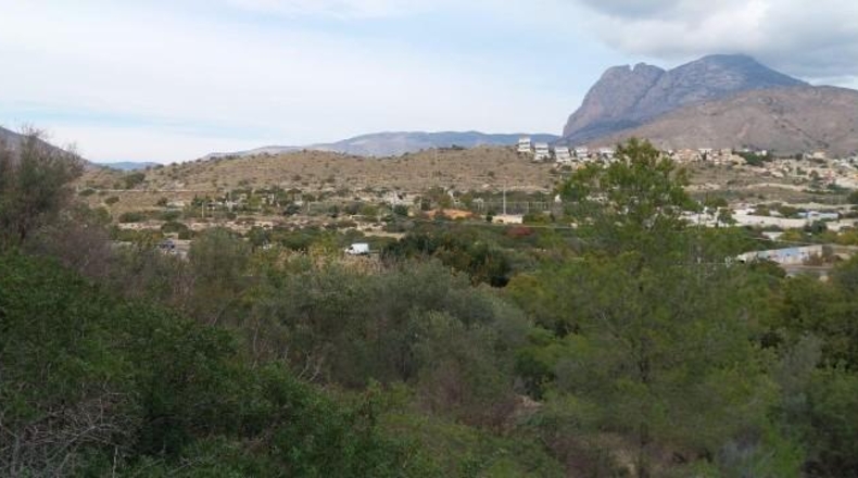 Alicante - Villajoyosa - 15500m2
