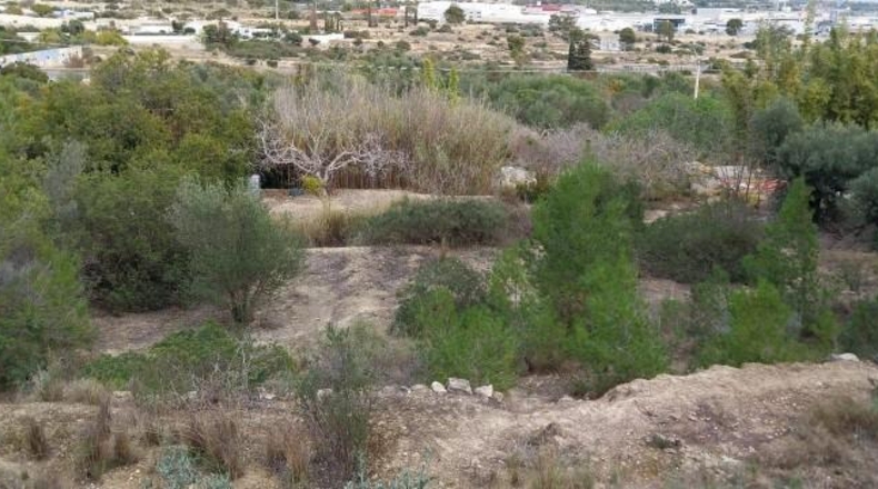 Alicante - Villajoyosa - 15500m2