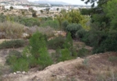 Terreny no urbanitzable en venda a la España, la Vila Joiosa, ref.: TR375010 foto