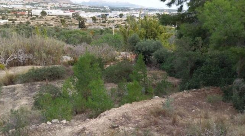 Alicante - Villajoyosa - 15500m2