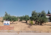 Sòl urbà en venda a la España, San Martín de Valdeiglesias, ref.: TR317969 foto