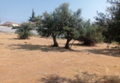 Sòl urbà en venda a la España, San Martín de Valdeiglesias, ref.: TR317969 foto