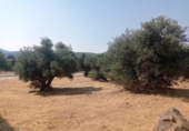 Sòl urbà en venda a la España, San Martín de Valdeiglesias, ref.: TR317969 foto
